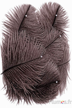 Struzzo con strass - 13-18 cm - naturale